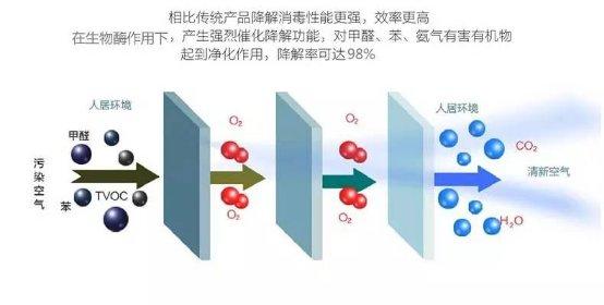 光觸媒、生物酶、空氣凈化器，哪家除甲醛公司效果好？